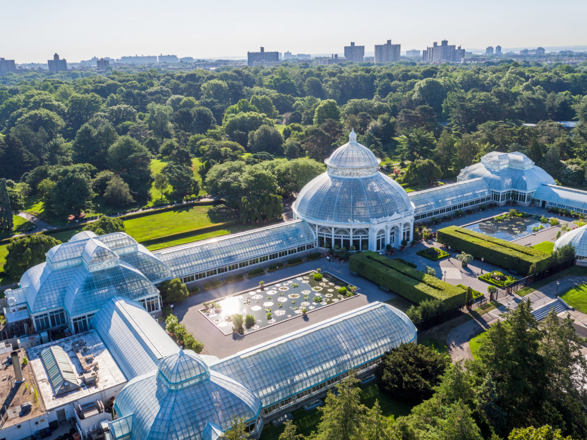 Growing the New York Botanical Garden Brand Jewel Branding