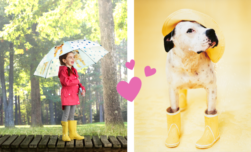 RH umbrella and dog with rain gear