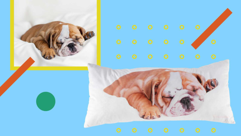 Rachael Hale body pillow with sleeping dog