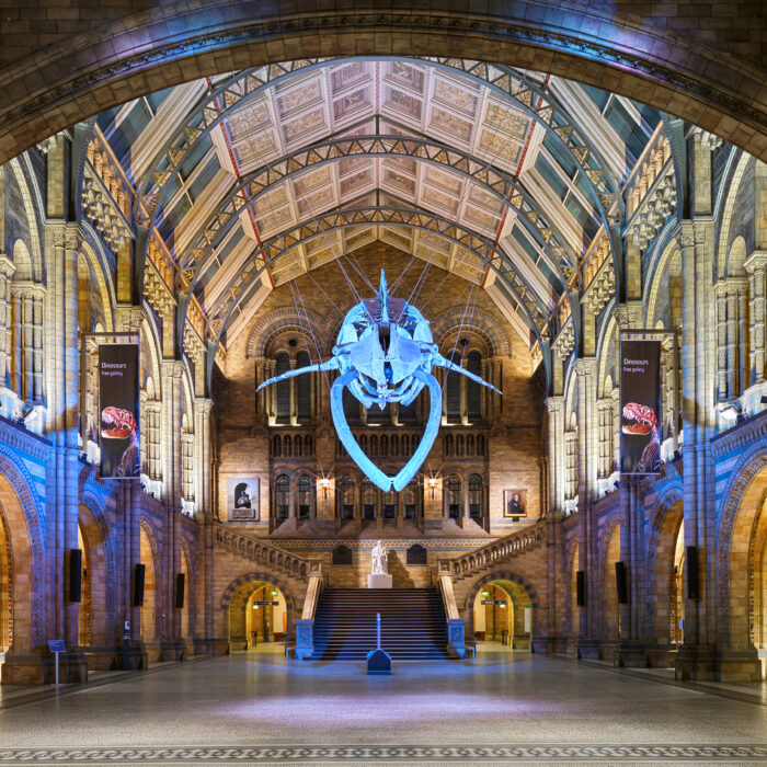 NHM Hintze Hall