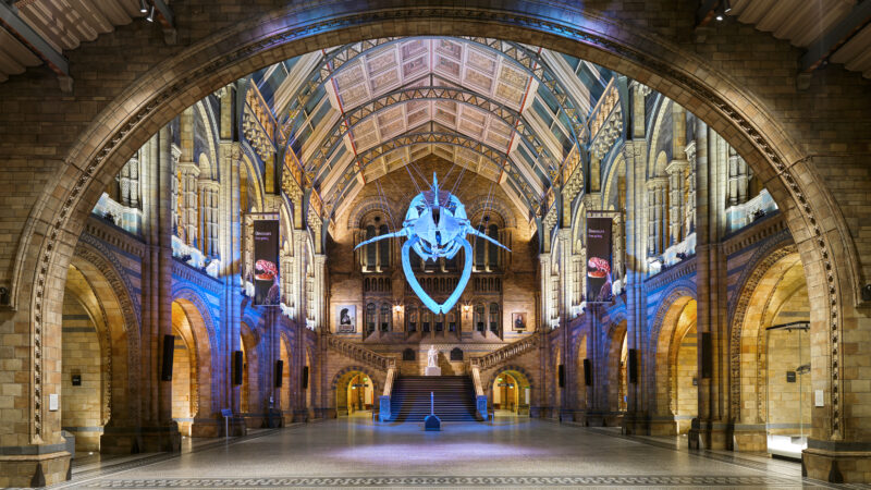 NHM Hintze Hall