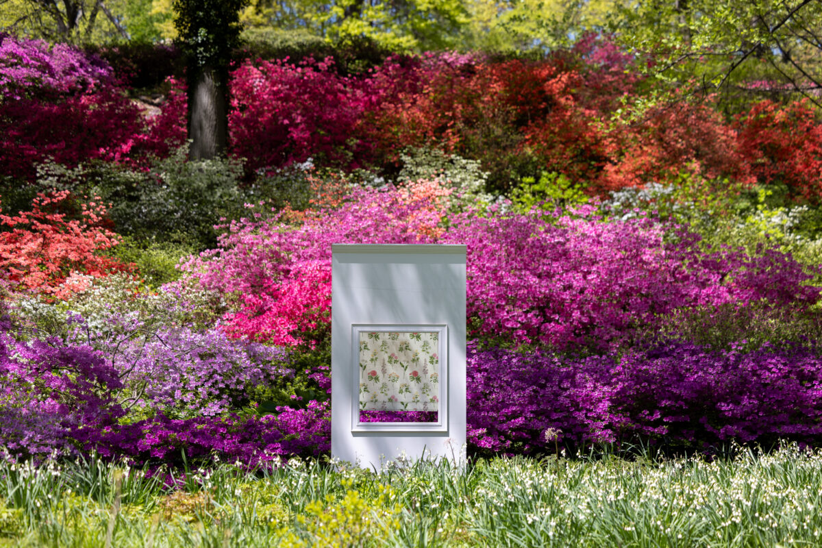 NYBG x Hunter Douglas